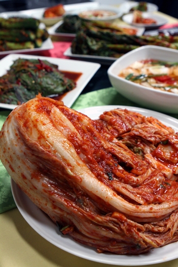 장윤정의맛있는 이미지