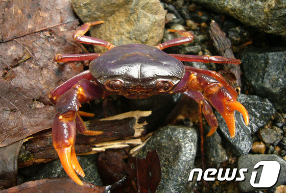 라온서기 이미지