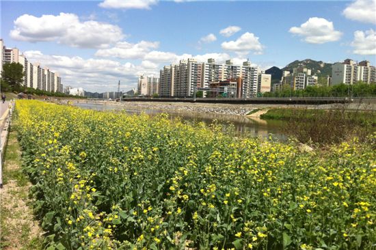 도봉구청직장어린이집 이미지
