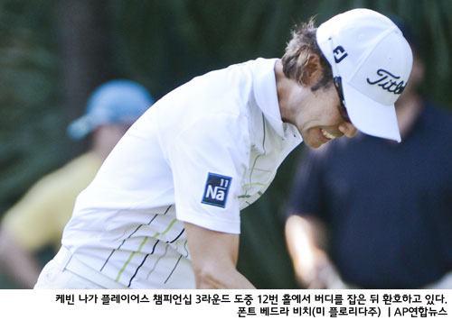 웨글 이미지
