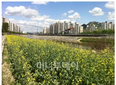 도봉구청직장어린이집 이미지
