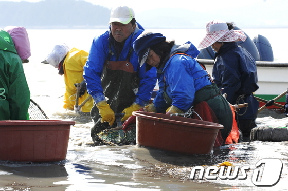 도해식품 이미지