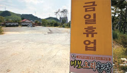 바보오리농장 이미지