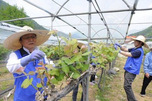 도순 이미지