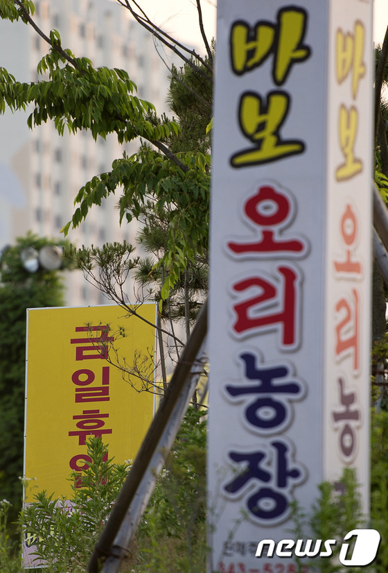 바보오리농장 이미지