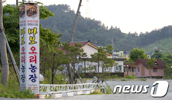 바보오리농장 이미지
