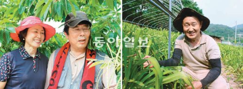 황금알 이미지