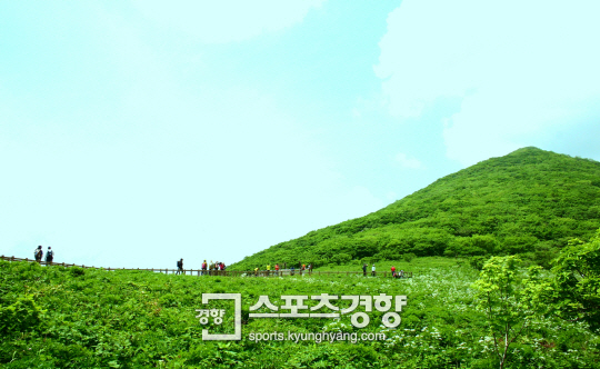 하늘꽃화원 이미지