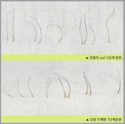 비가헤어 이미지
