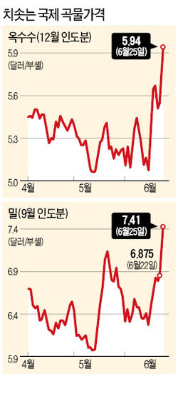 곡창지대 이미지