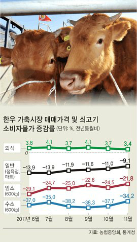 소한마리 이미지
