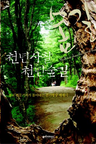 천년숲 이미지