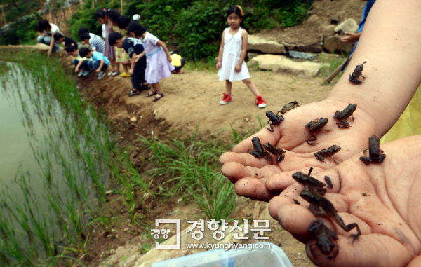 강서방사 이미지