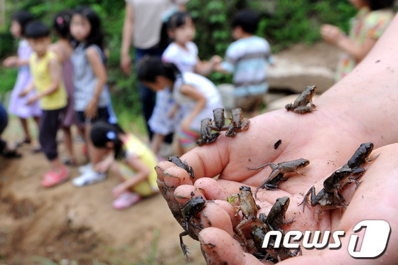 강서방사 이미지