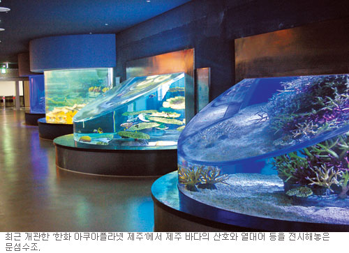 제주문 이미지