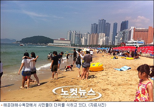 소금 이미지