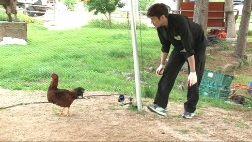 신화종합기술 이미지