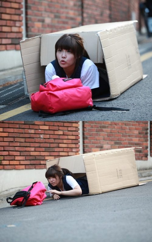 토니박스 이미지