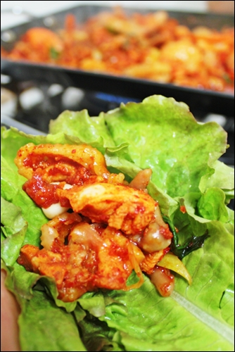 촌닭 이미지