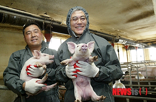 돼지새끼 이미지