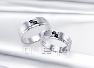 뉴체스 이미지