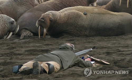 (주)더해빙 이미지