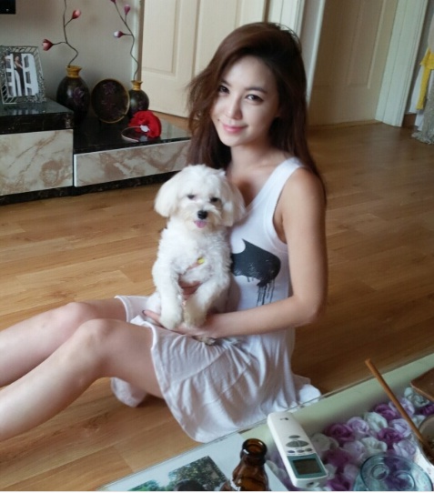 탕탕탕 이미지