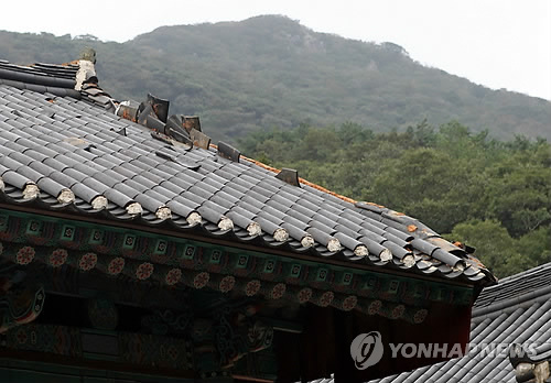 대흥사 이미지