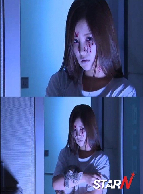 초롱비디오 이미지