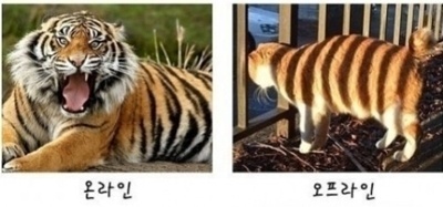 우리컴퓨터 이미지