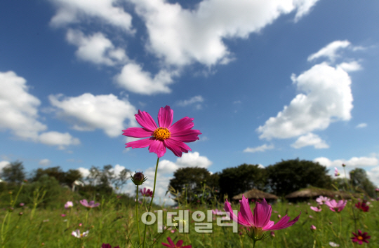 푸른하늘 이미지