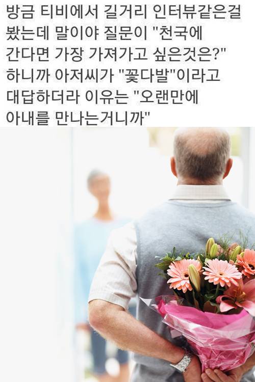 지고지순 이미지