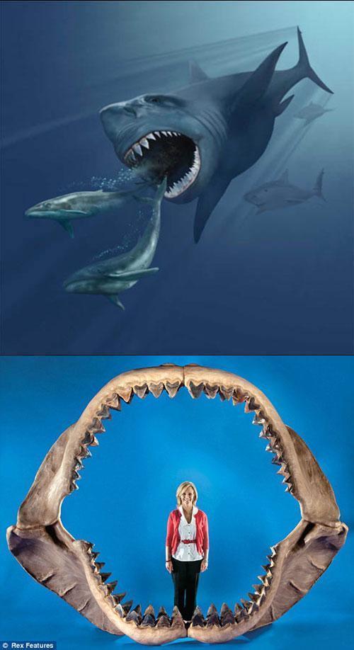 (주)큰바다 이미지