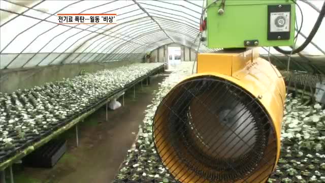 태산전기조명 이미지