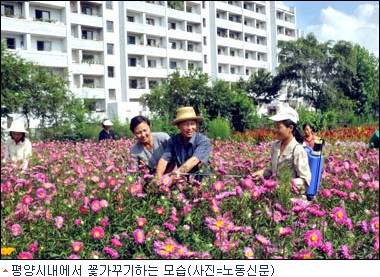 대신인력 이미지
