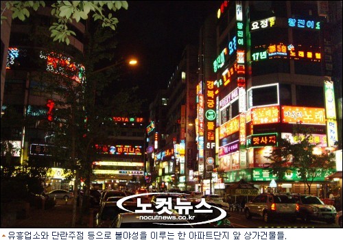 방석집유흥주점 이미지