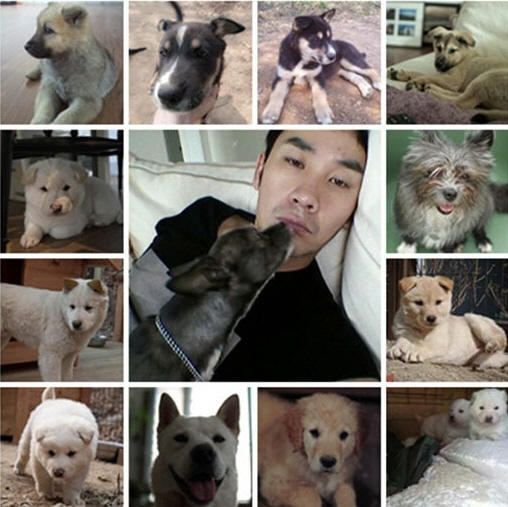 스타이야기 이미지