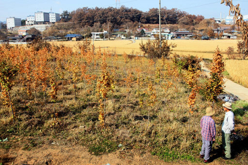 구미연합가스 이미지