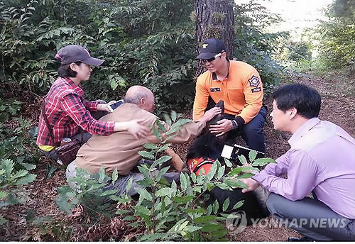 안산소방서(119구조대) 이미지