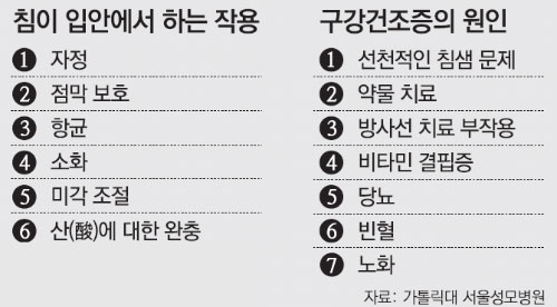 마르네 이미지