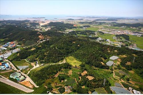 서해교역 이미지