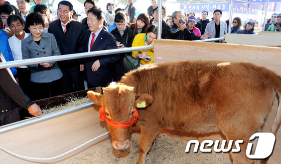 횡성한우축산 이미지