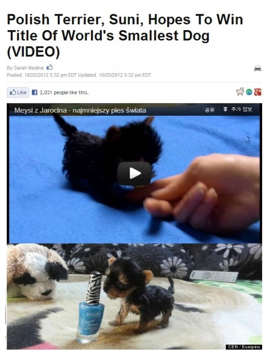 수니인테리어 이미지