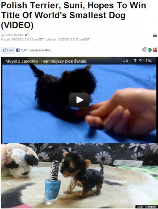 수니인테리어 이미지