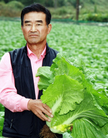 괴산시골절임배추영농조합법인 이미지