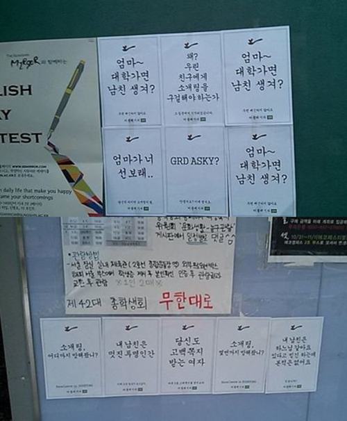 선보래 이미지