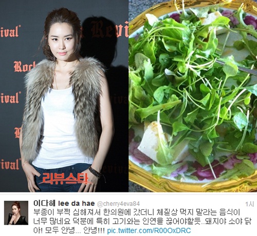 돼지야&닭 이미지