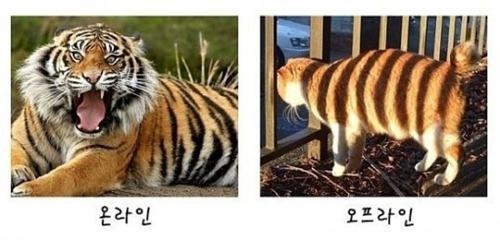 컴퓨터온 이미지