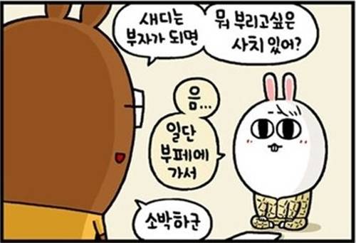 사치 이미지