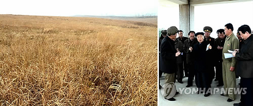 평강축산 이미지